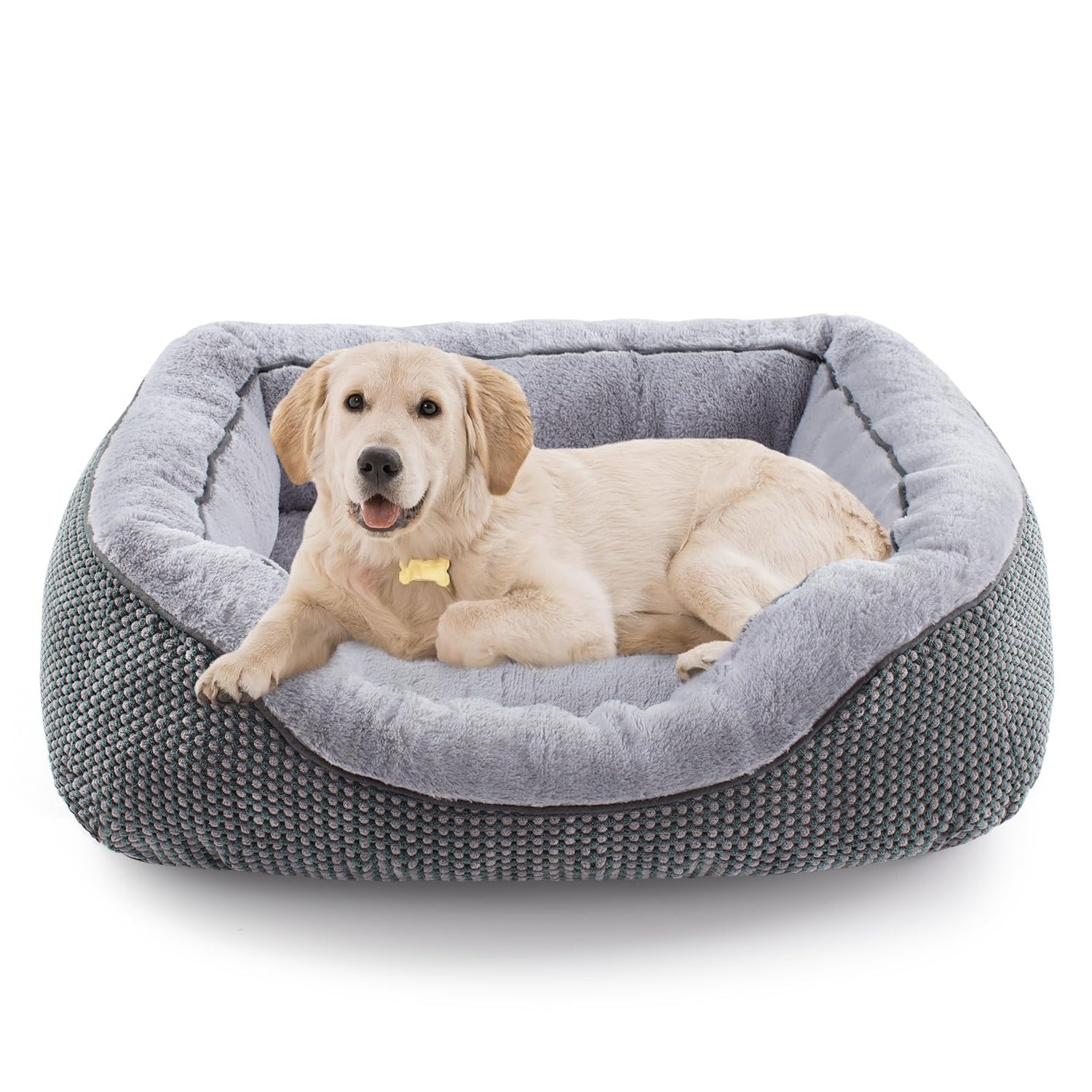 Pet Beds
