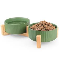 Pet Bowls and Feeding