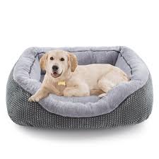 Beds/Blankets